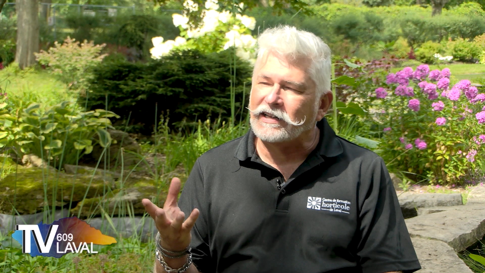 Pépinière Villeneuve et Jardin Champs de rêves