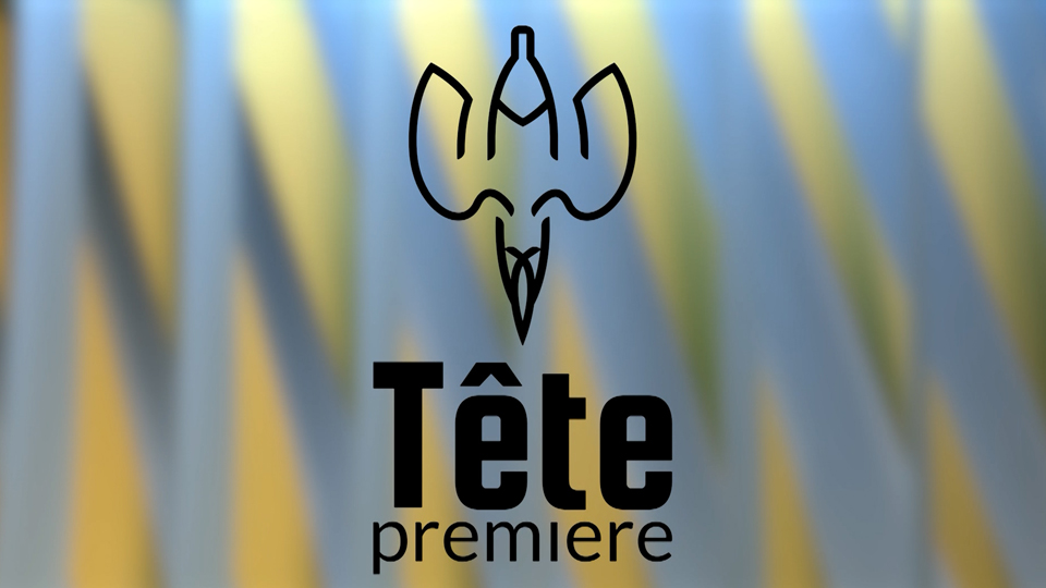 Tête première