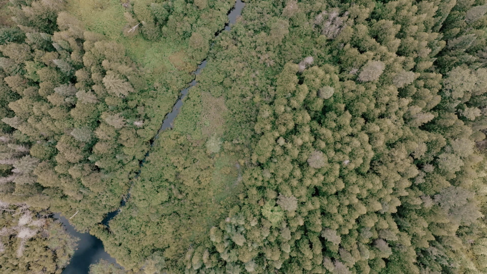 VUE DU CIEL Saint-Bruno-de-Kamouraska