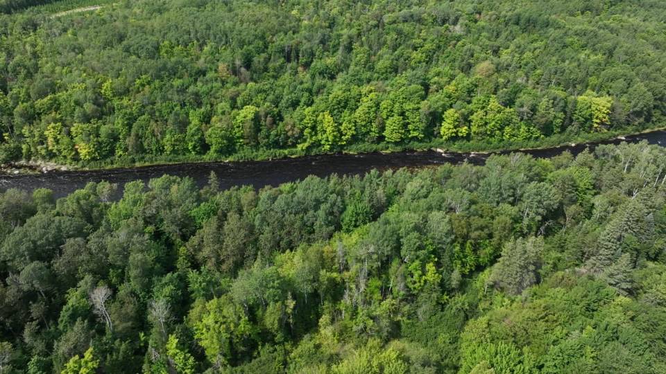 VUE DU CIEL Aujourd'hui, Saint-Pâcome