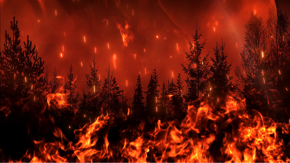 Sommet sur les feux de forêt