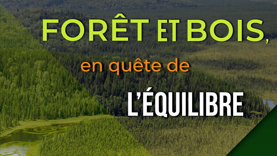 Forêt et bois