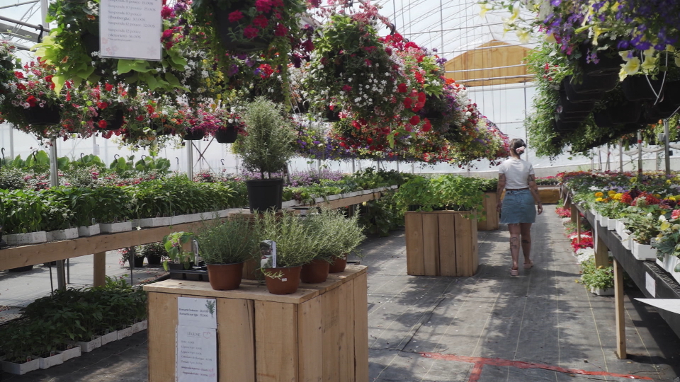 Chez Kyky Jardinerie et L'Assembleuse