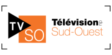 Télévision du Sud-Ouest